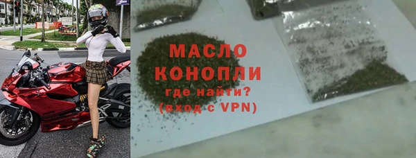 молекула духа Богданович