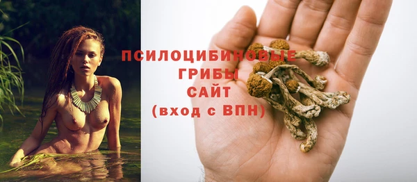молекула духа Богданович