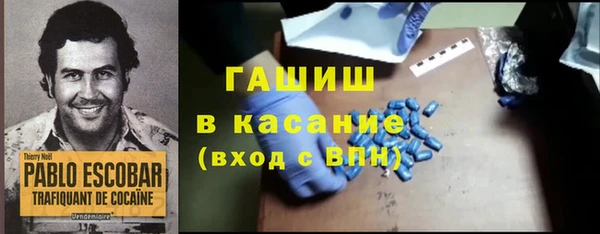 молекула духа Богданович