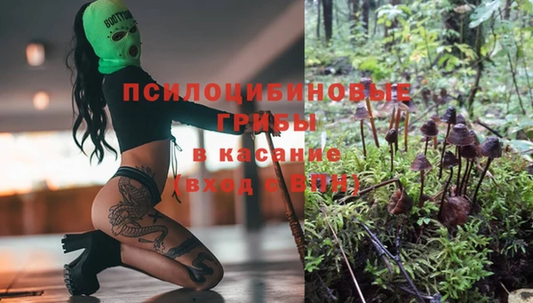 a pvp Богородицк