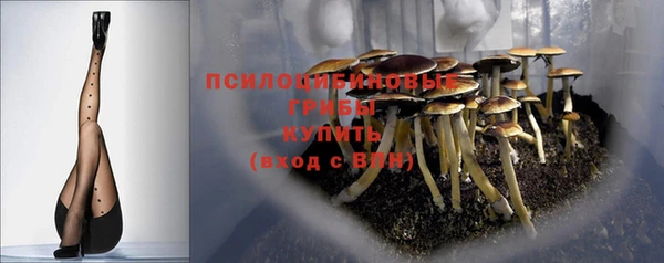 молекула духа Богданович
