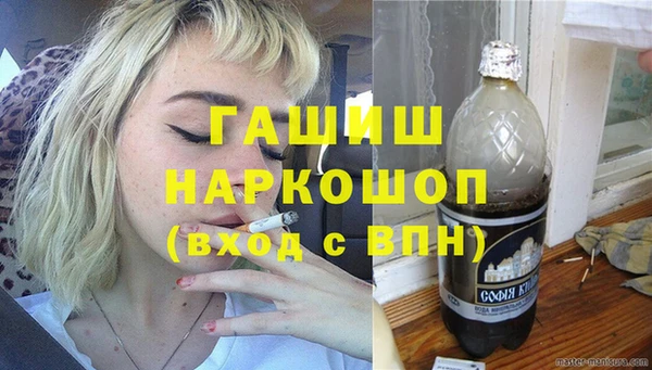 молекула духа Богданович