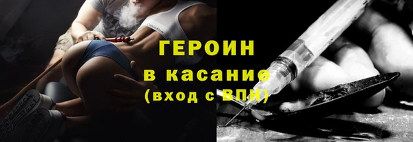 молекула духа Богданович