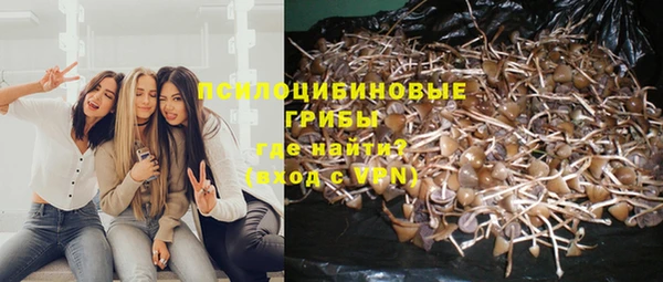 MDMA Premium VHQ Бронницы