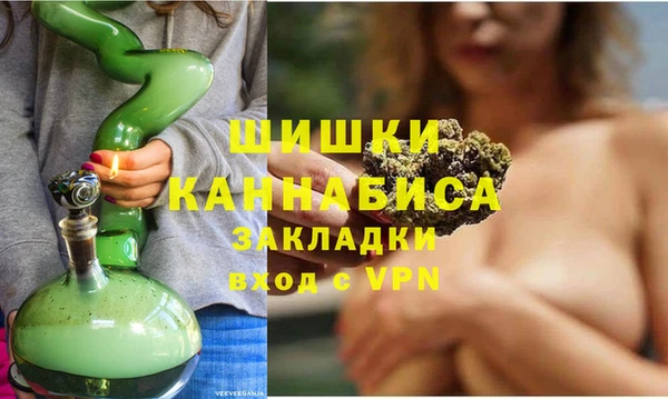 молекула духа Богданович