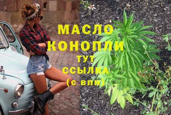 молекула духа Богданович