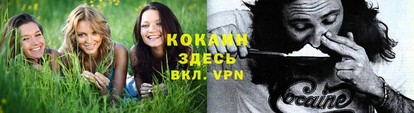 молекула духа Богданович