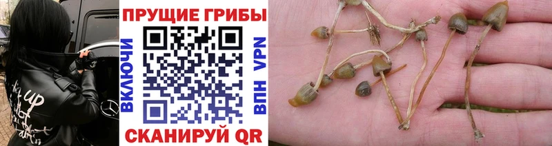 Псилоцибиновые грибы Magic Shrooms Биробиджан
