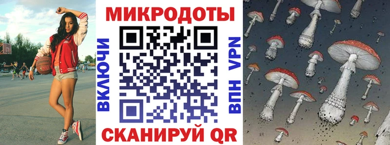 Галлюциногенные грибы мицелий  Купить где  Биробиджан 